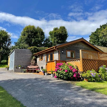 Swansea Log Cabin Pontardawe Exterior foto