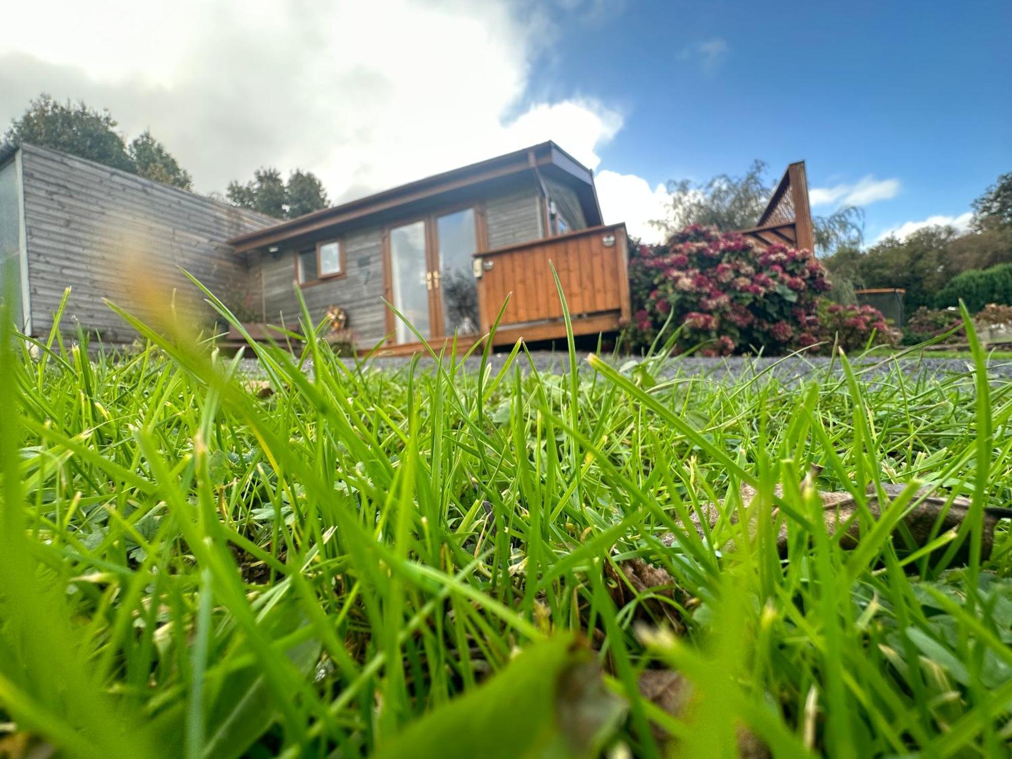 Swansea Log Cabin Pontardawe Exterior foto