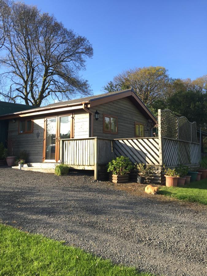 Swansea Log Cabin Pontardawe Exterior foto